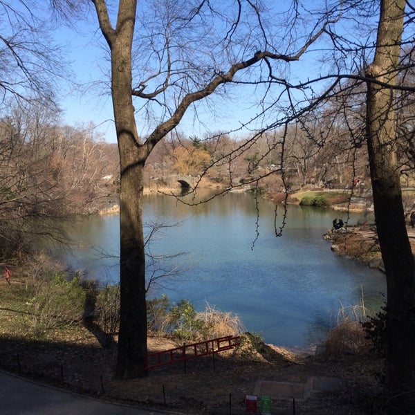 3/27/2014 tarihinde Julio A.ziyaretçi tarafından Central Park Sightseeing'de çekilen fotoğraf