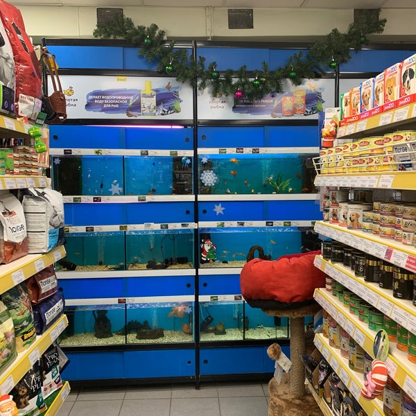 Екатеринбург Рыболовный Магазин Золотая Рыбка