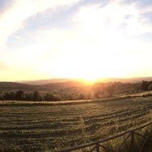 Foto tirada no(a) Saturnia Tuscany Hotel por Antoine M. em 5/19/2014