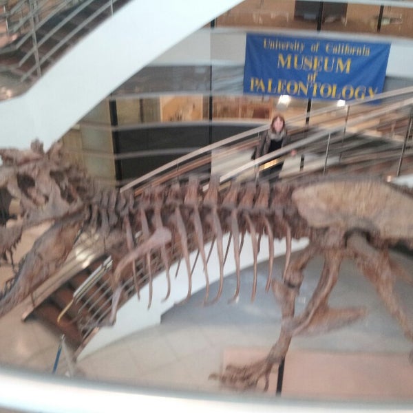 UC Berkeley Museum of Paleontology Downtown Berkeley 1 tip