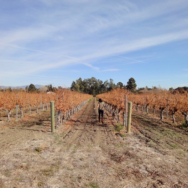 Photo taken at Lincourt Vineyards by AMW on 12/31/2020