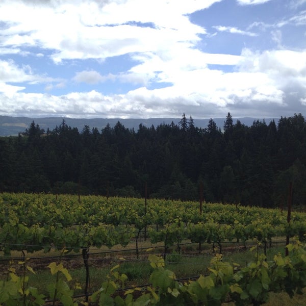 รูปภาพถ่ายที่ Phelps Creek Vineyards โดย Jennifer เมื่อ 5/29/2013