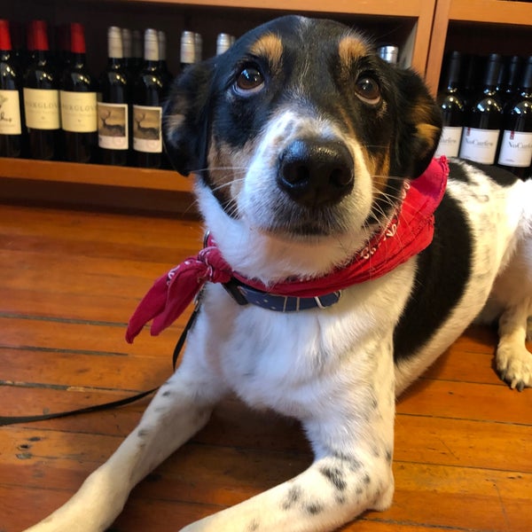 Foto diambil di Castro Village Wine Co. oleh Drew H. pada 9/30/2019