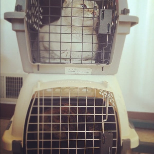 Foto tirada no(a) Especially Cats Veterinary Hospital por Eric S. em 10/20/2012