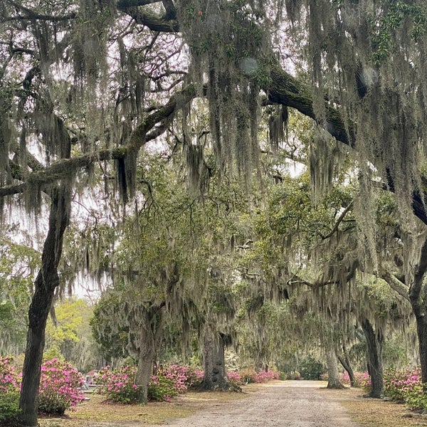 3/16/2022에 Peggy C.님이 Bonaventure Cemetery Tours ™에서 찍은 사진