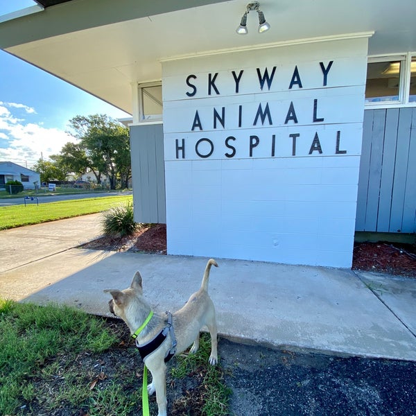 Photos at Skyway Animal Hospital - 3258 5th Ave S