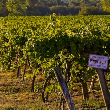 Foto tirada no(a) J Vineyards &amp; Winery por J Vineyards &amp; Winery em 11/20/2014