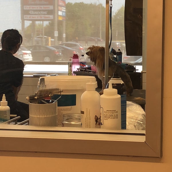 petsmart lawrence