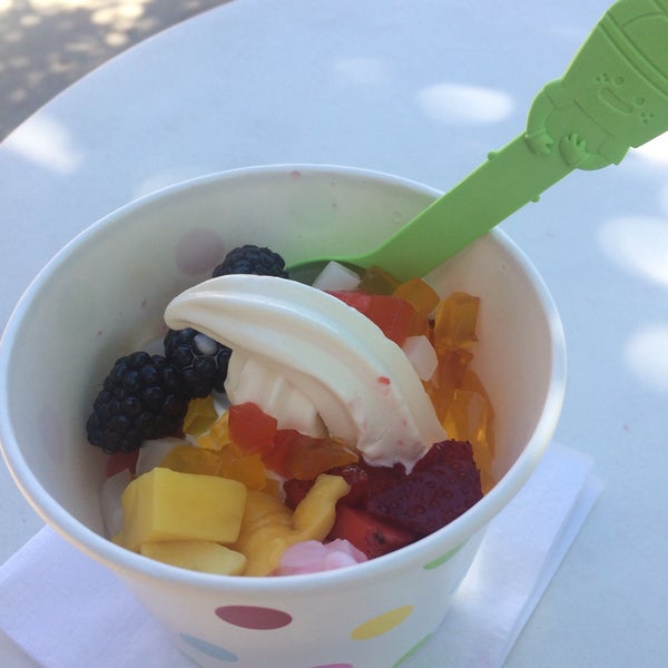 Mochi Frozen Yogurt Frozen Yogurt Shop in Gainesville
