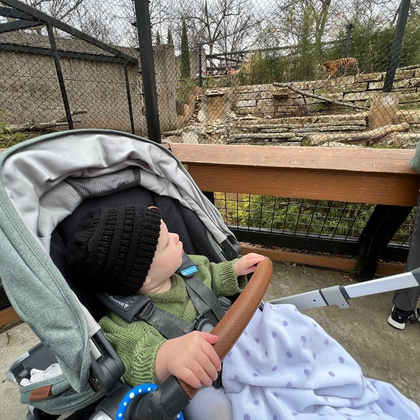 Photo taken at Kansas City Zoo by Mary on 3/29/2022