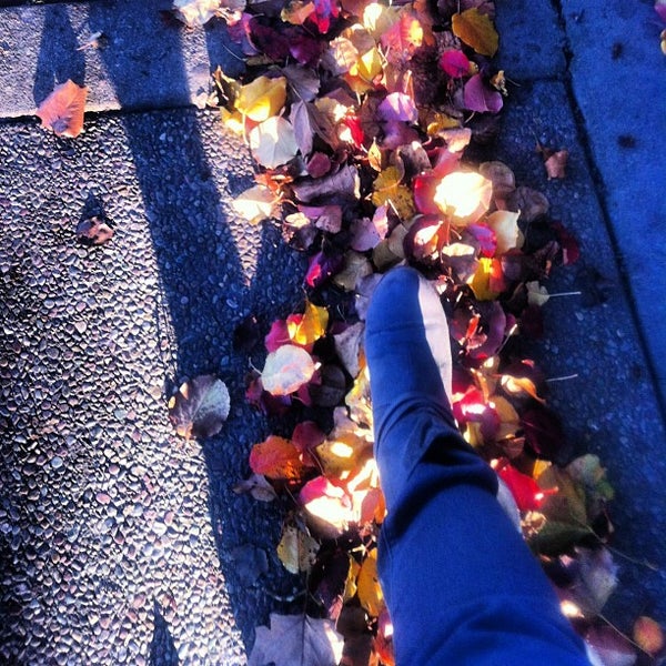 Photos at VTA Tasman Light Rail Station North San Jose W Tasman Dr