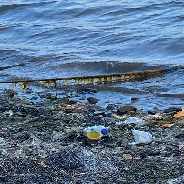 Deniz kenarı temizlemesi belediyenin işi olabilir ama işletmelerinde biraz taşın altına elini koymamları gerekli diye düşünüyorum bu görüntü için çok üzgünüm