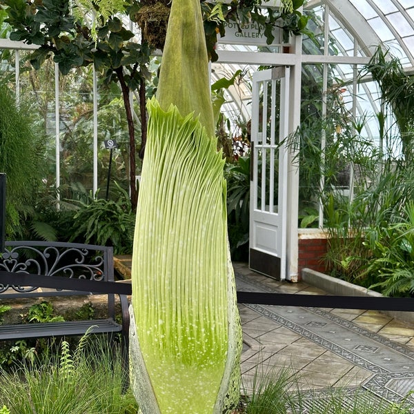 Photo taken at Conservatory of Flowers by Susannah S. on 6/23/2023