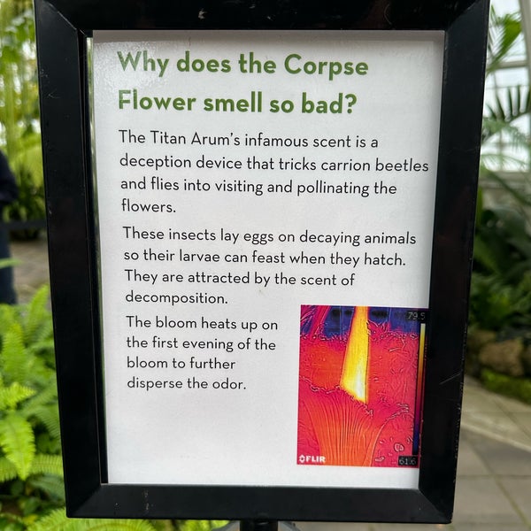 Foto diambil di Conservatory of Flowers oleh Susannah S. pada 6/23/2023