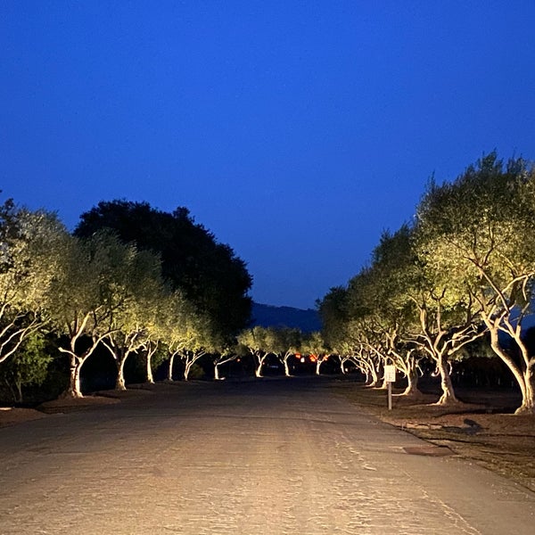 รูปภาพถ่ายที่ Francis Ford Coppola Winery โดย Susannah S. เมื่อ 11/25/2020