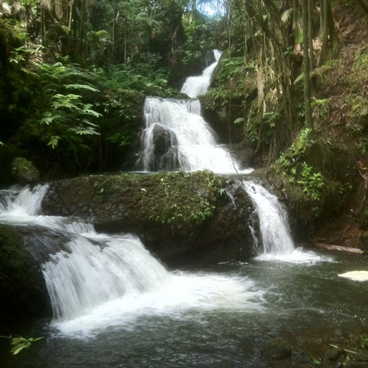 11/23/2011にAllan B.がHawaii Tropical Botanical Gardenで撮った写真