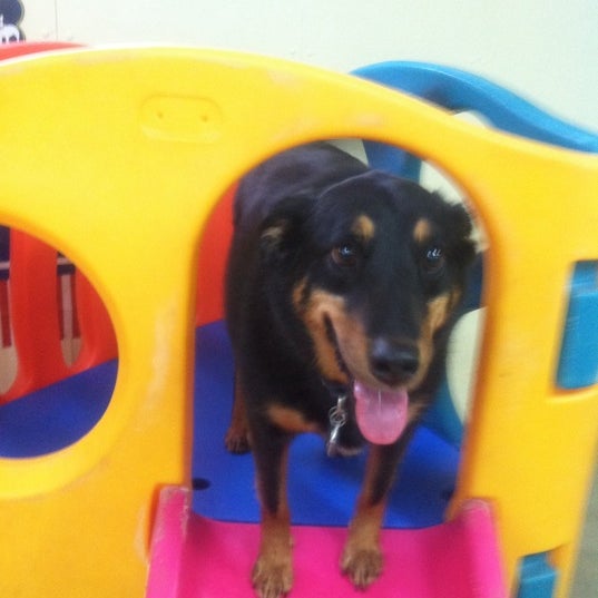 Best Friends Pet Care Pet Supplies Store