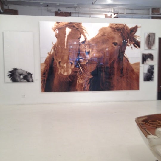 3/17/2012にChico Z.がThe Wild Horses of Sable Islandで撮った写真