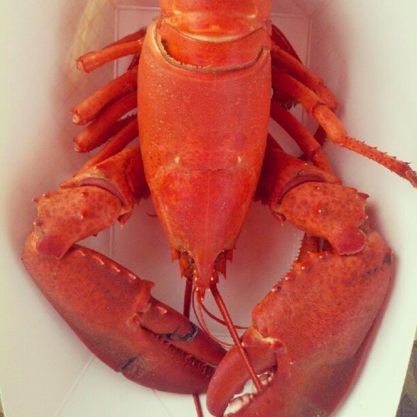 Morrison's lobster 3 tips from 113 visitors