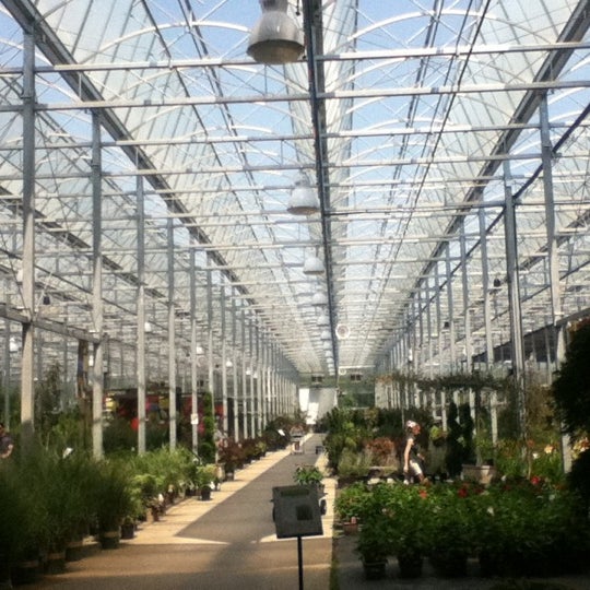 Цветы Эквадор Greenhouses