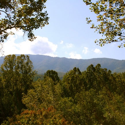 Photos At Greenbrier Valley Resorts At Cobbly Nob Managed By Cabin