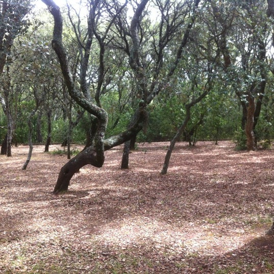 Parque dos Índios Park in Lisboa