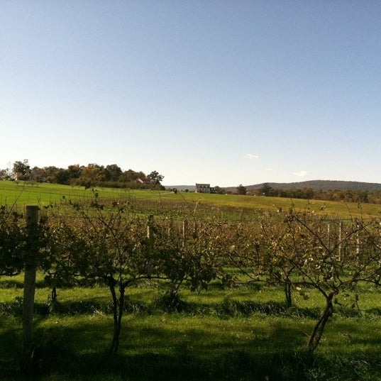 Photo taken at Corcoran Vineyards by Brandice E. on 10/15/2011