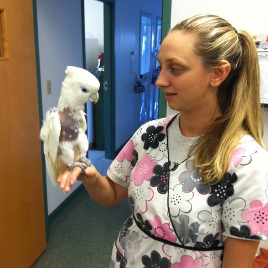 Foto tomada en Animal &amp; Avian Medical Center  por Lauren K. el 8/25/2011
