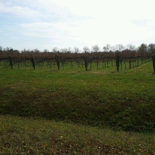 Photo taken at The Williamsburg Winery by Patrice D. on 11/20/2011