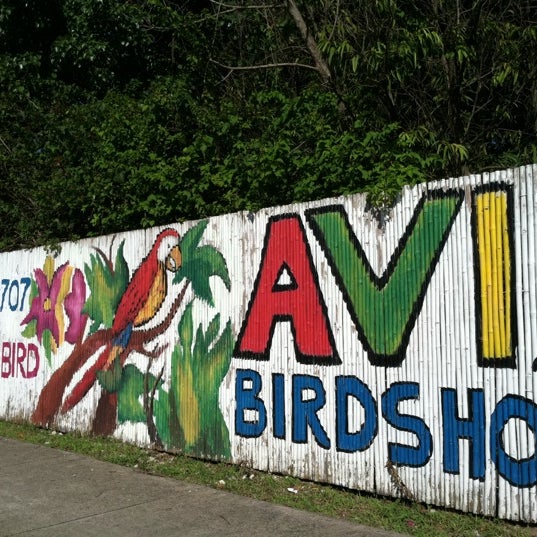 aviary bird shop