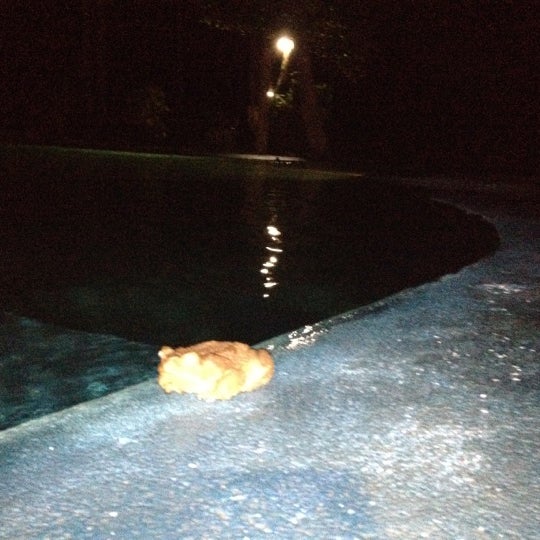 Ver ranas por la noche cerca de la piscina!