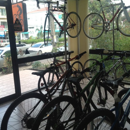 Champion bike shop Clearance