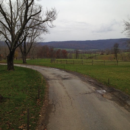 Ayrshire farm Business and Professional Services in Upperville