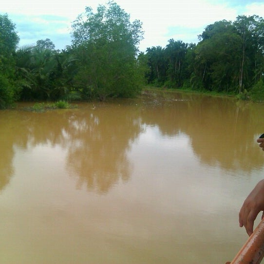 Jeti Memancing Sg Timun Other Nightlife