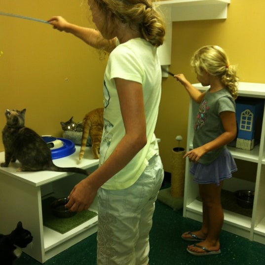 Photos at Kentucky Humane Society East Campus Animal Shelter in