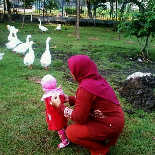 Photos At Taman Angsa Rektorat Unair 2 Tips