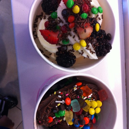 Blizz Frozen Yogurt Frozen Yogurt Shop in Sherman Oaks