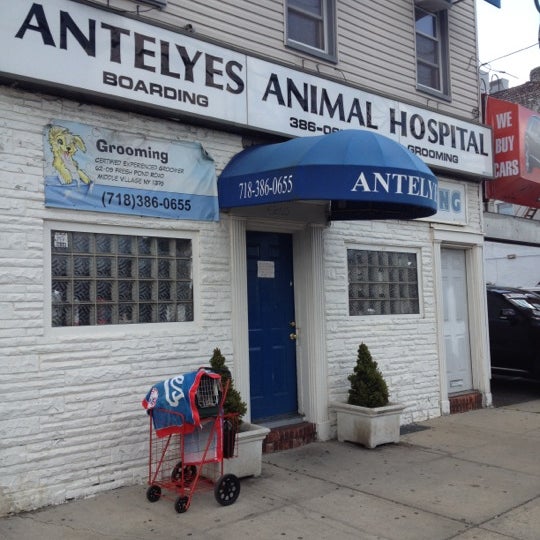 middle village animal hospital middle village animal hospital