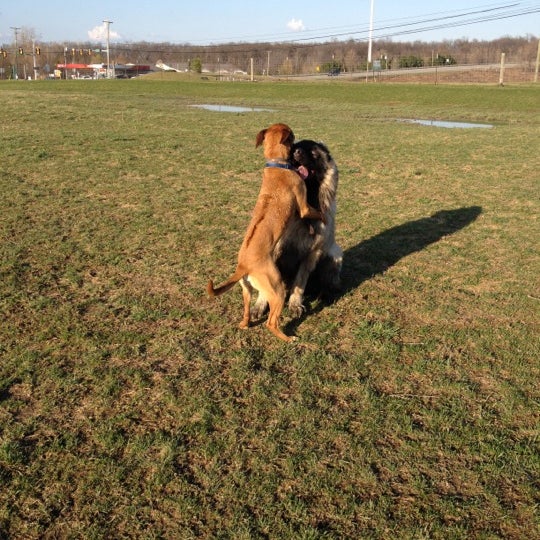 Photo taken at Swift Run Dog Park by Jessica S. on 3/17/2012