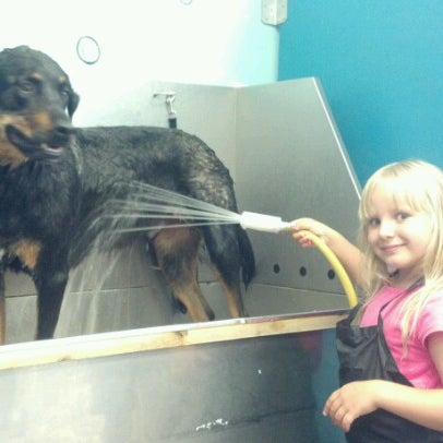 Photo taken at Dunk&#39;n Dogs Dogwash and Professional Grooming by Eric G. on 6/20/2012