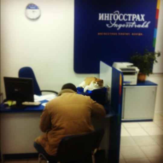 ингосстрах офисы дтп. ингосстрах офисы дтп. краснодар, ул. ингосстрах пенза страховая компания. ближайший офис ингосстрах.