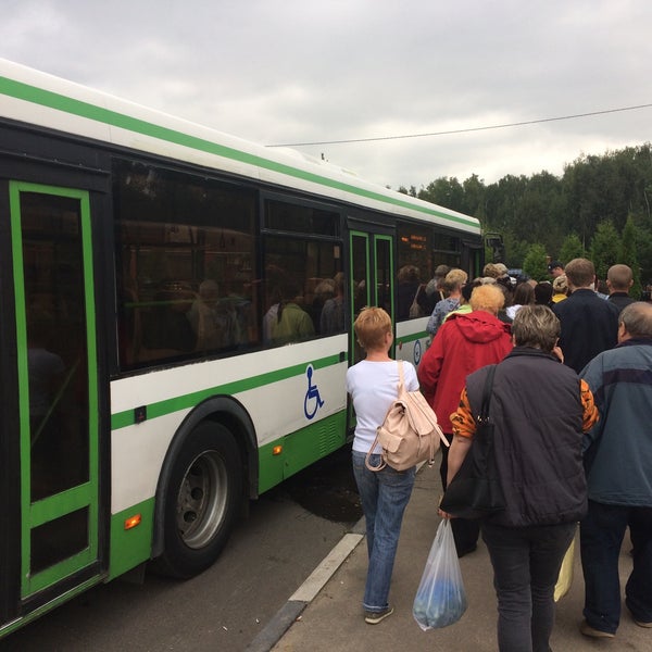 Расписание автобусов с810 домодедовское кладбище метро домодедовская. Расписание автобусов с810 домодедовское кладбище метро домодедовская