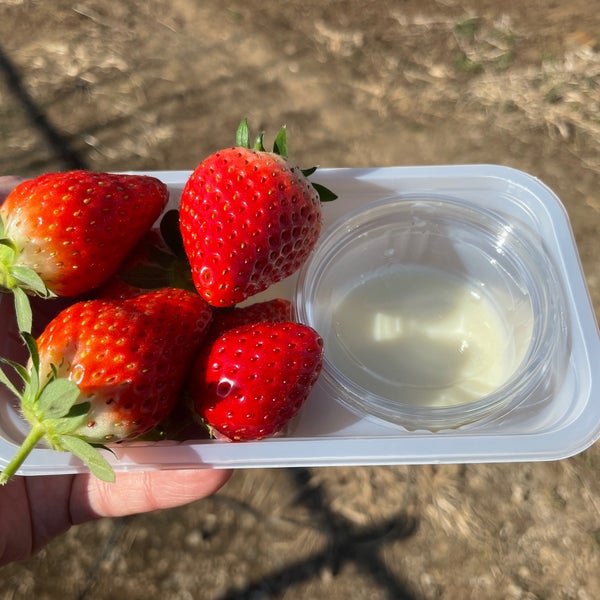 Photos At 和田農園 Farm