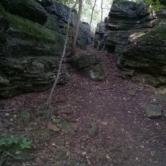 Burr Oak Woods Conservation Area Blue Springs, MO
