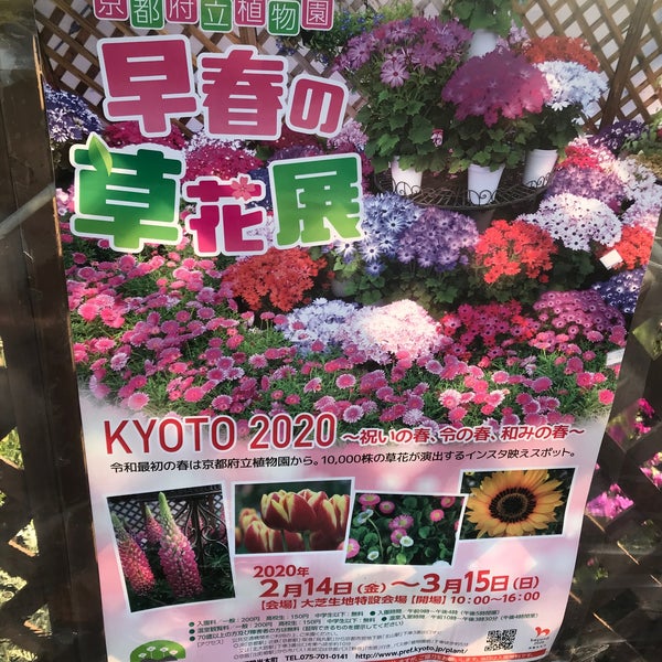 京都府立植物園 大芝生地 Kioto 京都府 京都府立植物園 大芝生地 Kioto 京都府