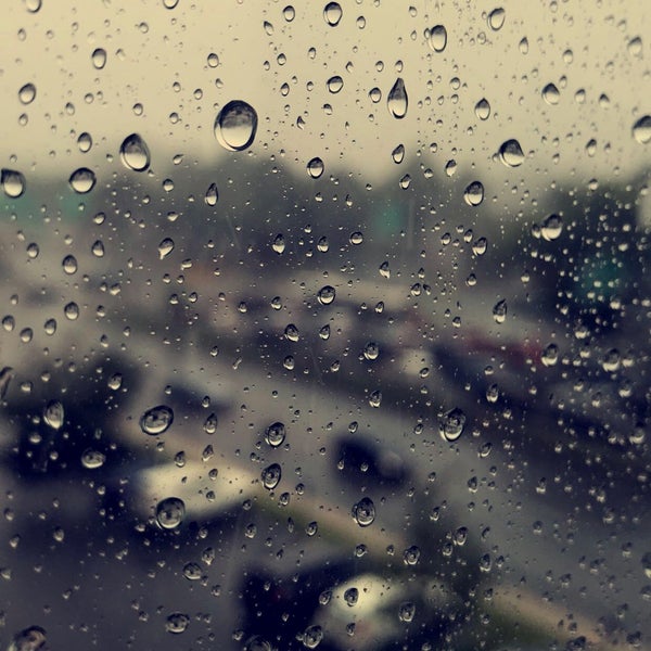 75 Station Landing Wellington 5 tips from 214 visitors