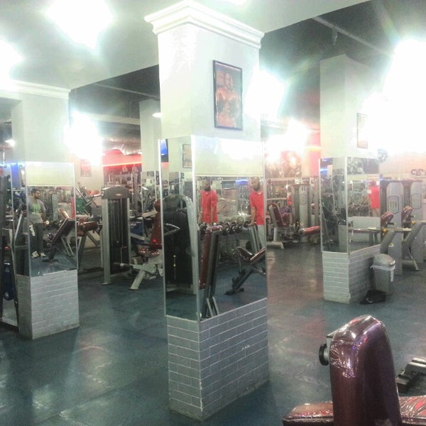 Shark fitness. Shark фитнес Чехов. Фитнес акула.