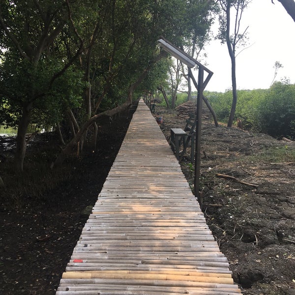 Wisata Pantai Hutan Mangrove Muara Teluk Naga Tangerang
