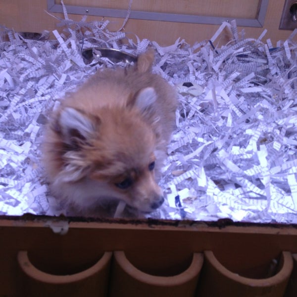 Safari Pet Centre (Now Closed) Pet Supplies Store in Vaughan