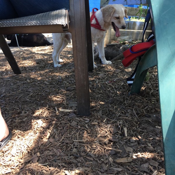 Triangle Dog Park (Now Closed) Dog Park in Philadelphia